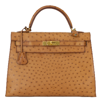 Winter Auctions Luxury Edition | Exclusive Jewellery, Watches & Handbags