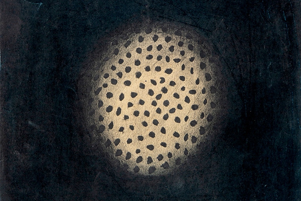 Expert's voice | A drawing by contemporary woman artist Yayoi Kusama at auction