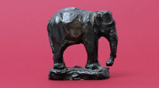 upcomming auction